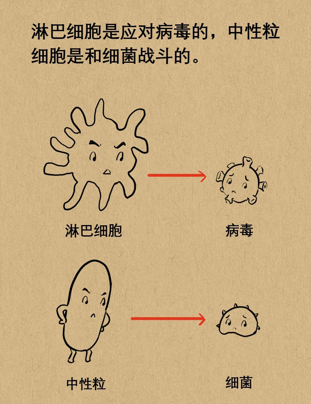 孩子得的是病毒性感冒还是细菌性感冒?如何区别?