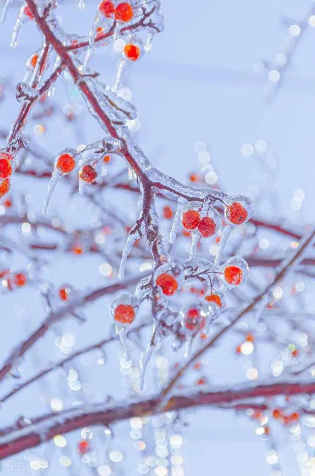 小雪了