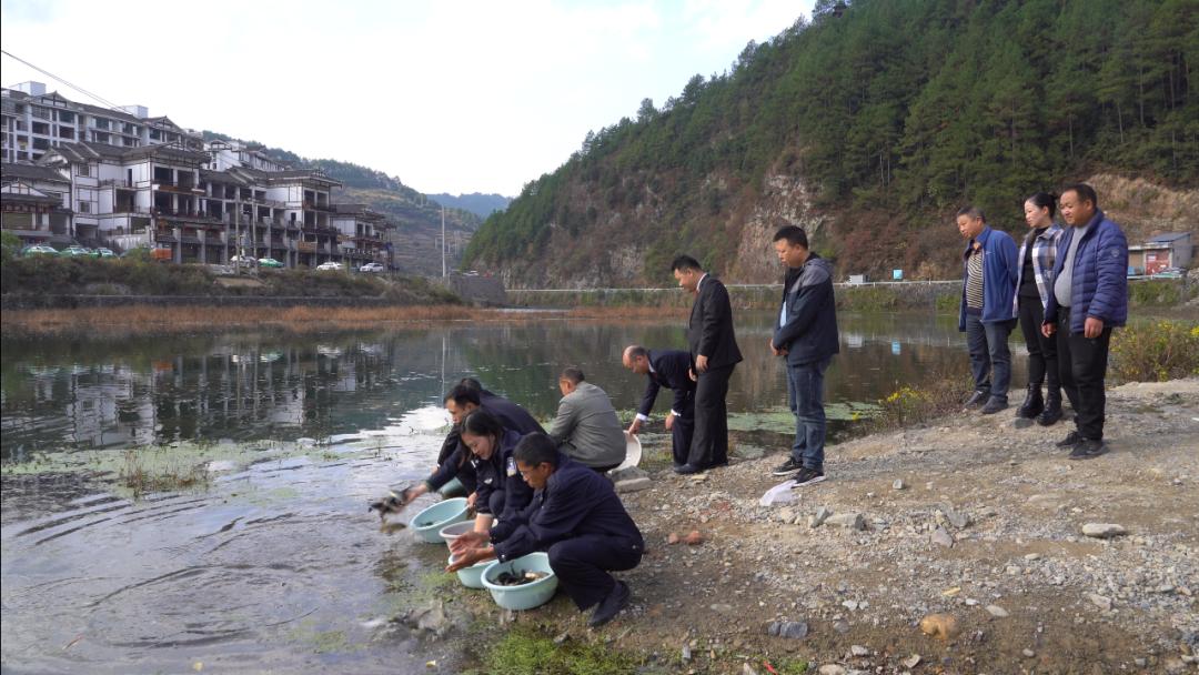 雷山法院组织开展“增殖放流”促进生态修复澎湃号·政务澎湃新闻 The Paper 6276