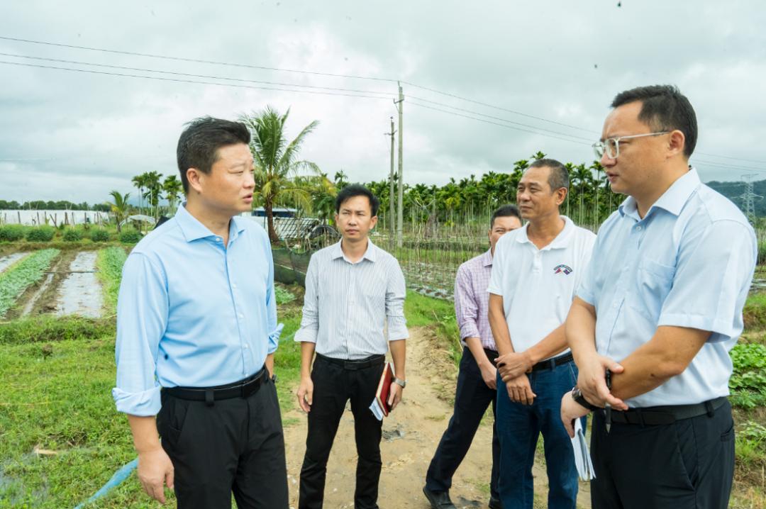 抓好冬季农业生产全面推进乡村振兴吴海峰深入乡镇调研这几项重点工作