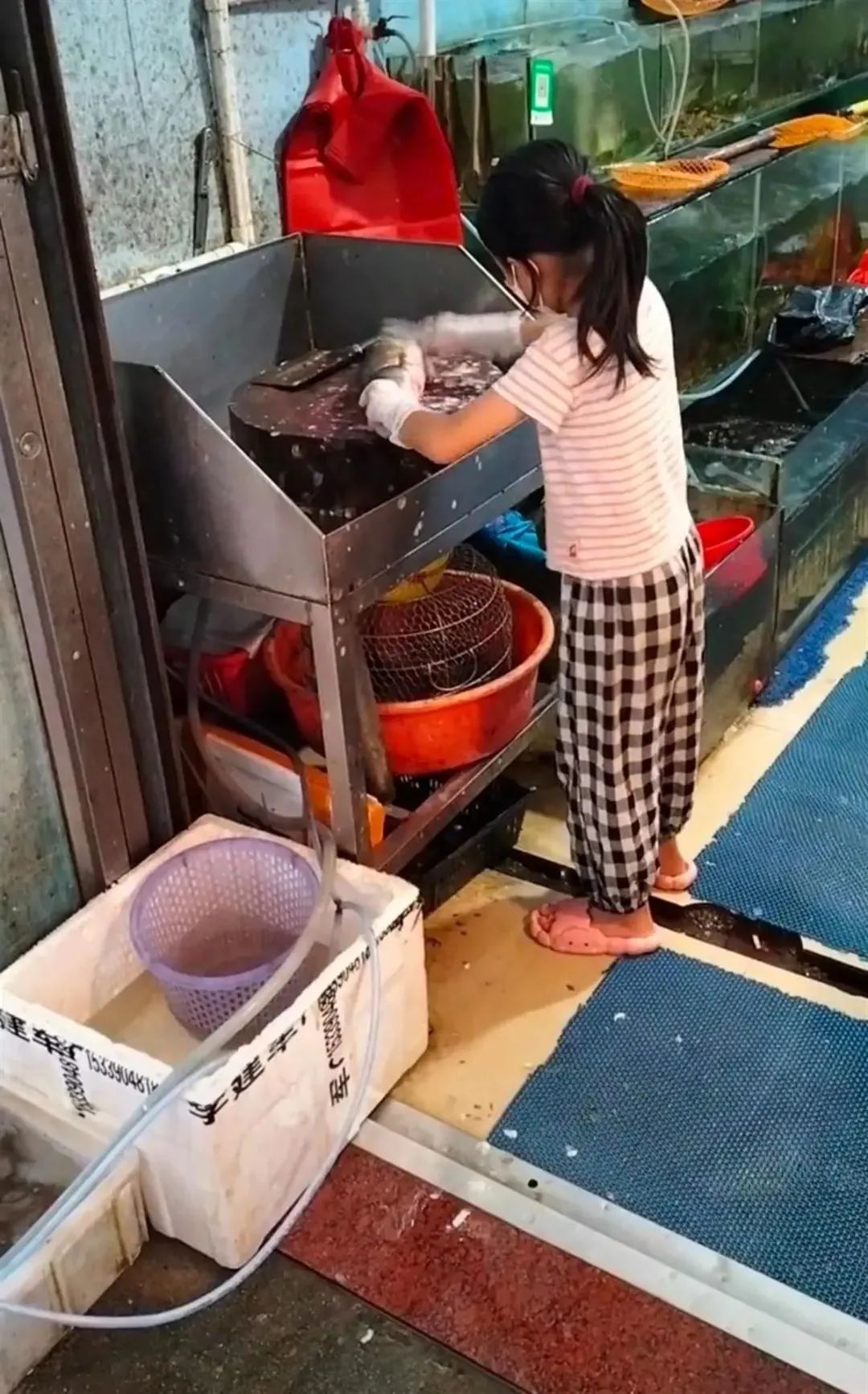 9岁女孩熟练杀鱼刮鳞惊呆顾客!