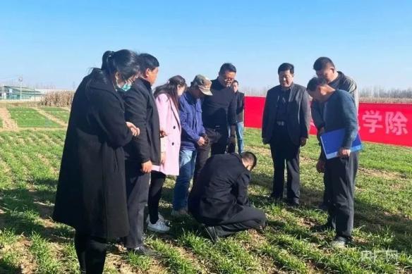 中省媒体看平凉 灵台：严把粮食生产关 守好百姓“粮袋子”澎湃号·政务澎湃新闻 The Paper 