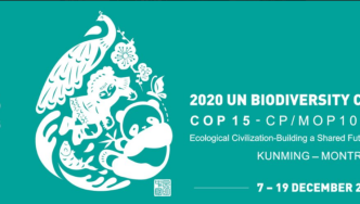 绿会代表团获邀参加CBD COP15生物多样性科学研讨会