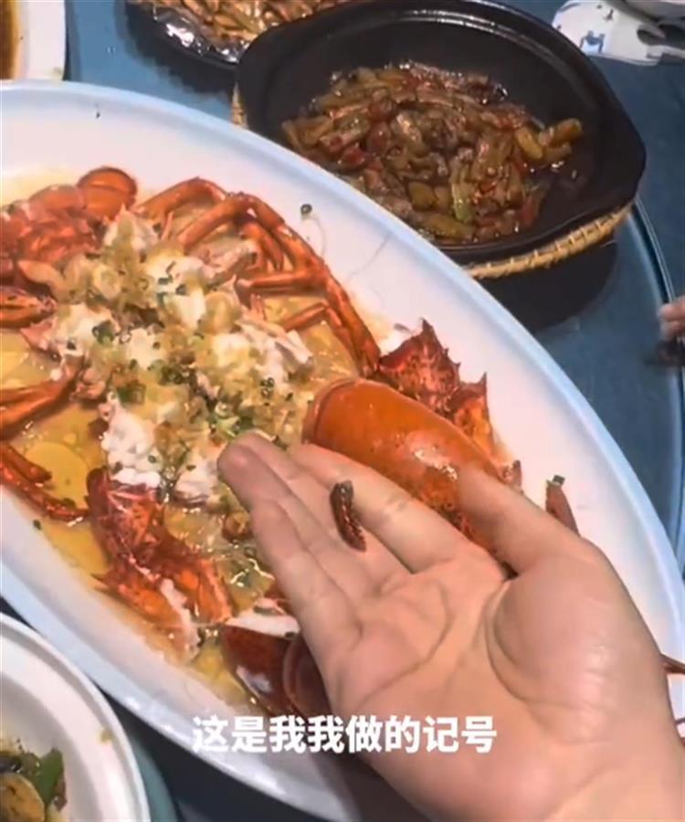 龙虾上菜秀_龙虾饭菜_食客点龙虾做记号上菜后发现被换