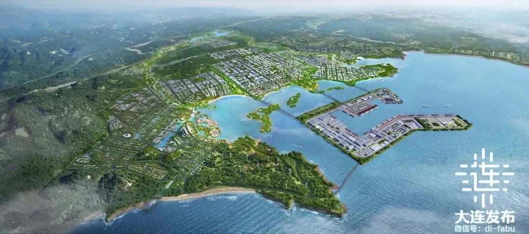 太平湾全国首创"签约即出照"管理办法