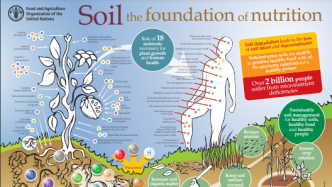 FAO举办从土壤到餐桌竞赛，大奖等你来拿！| 2022年世界土壤日