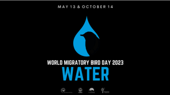 2023年世界候鸟日：水及其对候鸟的重要性
