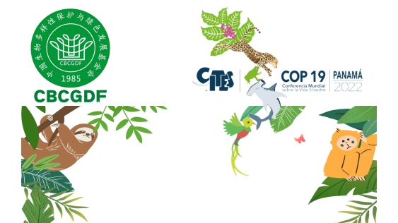 《濒危野生动植物种国际贸易公约》第19届缔约方大会重要决定盘点