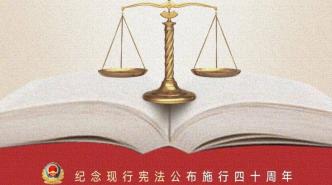 在法治中国建设新征程上阔步前进 写在第九个国家宪法日到来之际
