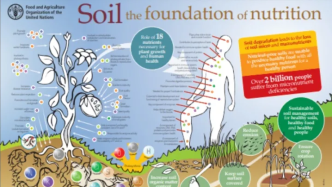 2022年世界土壤日主题——土壤：食物之源 | 绿会土壤工作一览