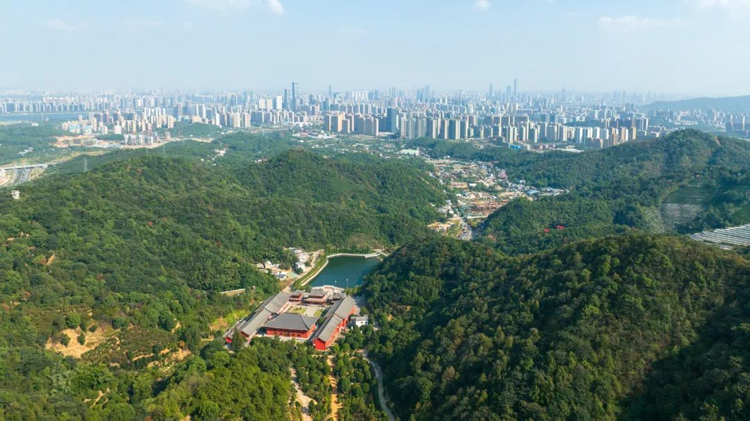 美到沉醉!30幅摄影作品带您畅游岳麓名山
