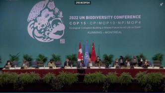 CBD 2020后全球生物多样性框架不限成员名额工作组第五次会议闭幕