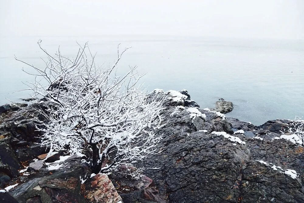今日大雪 | 岁暮天寒,顺问冬安