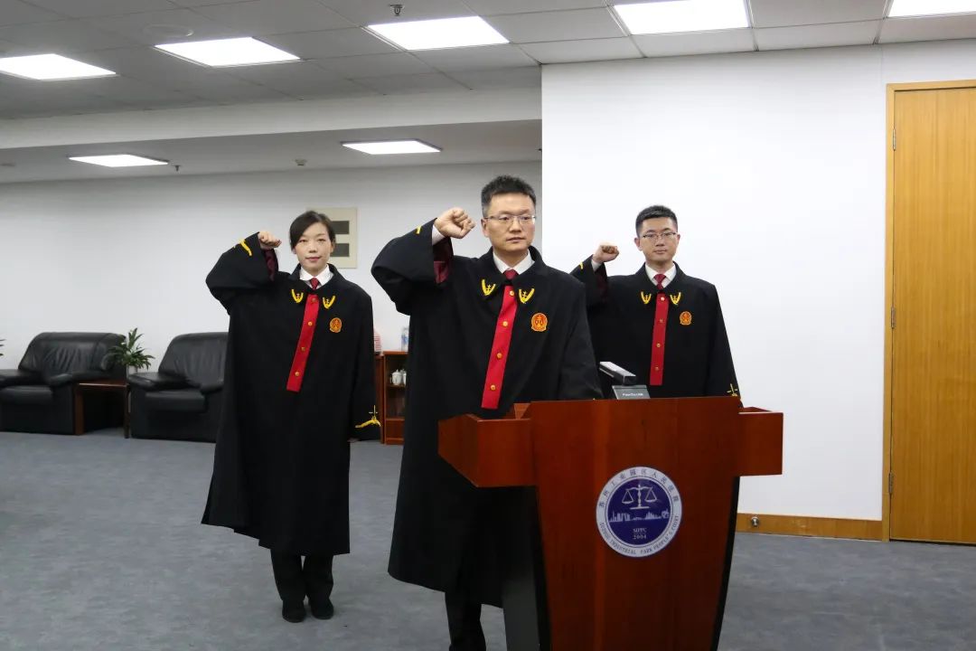 124国家宪法日园区法院举行新任员额法官宪法宣誓仪式