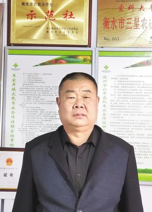 对话河北好人 | 深州市仁忠农机专业合作社理事长孙仁中:做群众致富路上的“领头人”_澎湃号·政务_澎湃新闻-The Paper