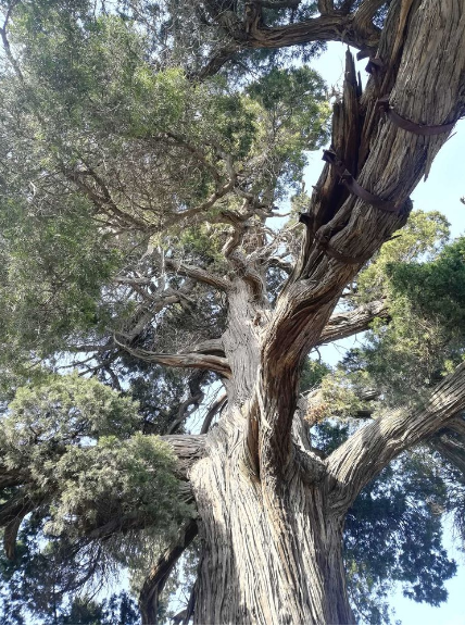 邯郸历史名胜篇