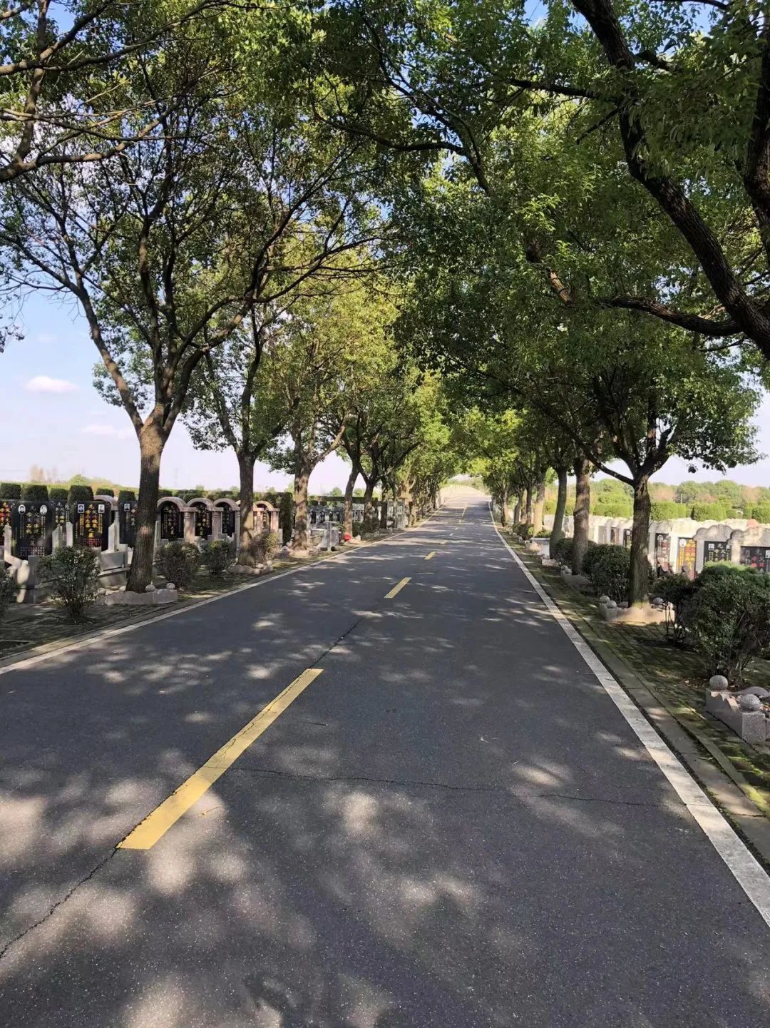 无需提前预约路况畅通无阻松江各墓园迎来错峰祭扫小高峰