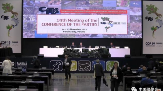 第19届缔约方大会的简要记录 | CITES秘书处发布