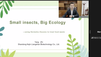 绿会专家杨志：利用黑水虻处理餐厨垃圾 | 2022年世界绿色科学日活动