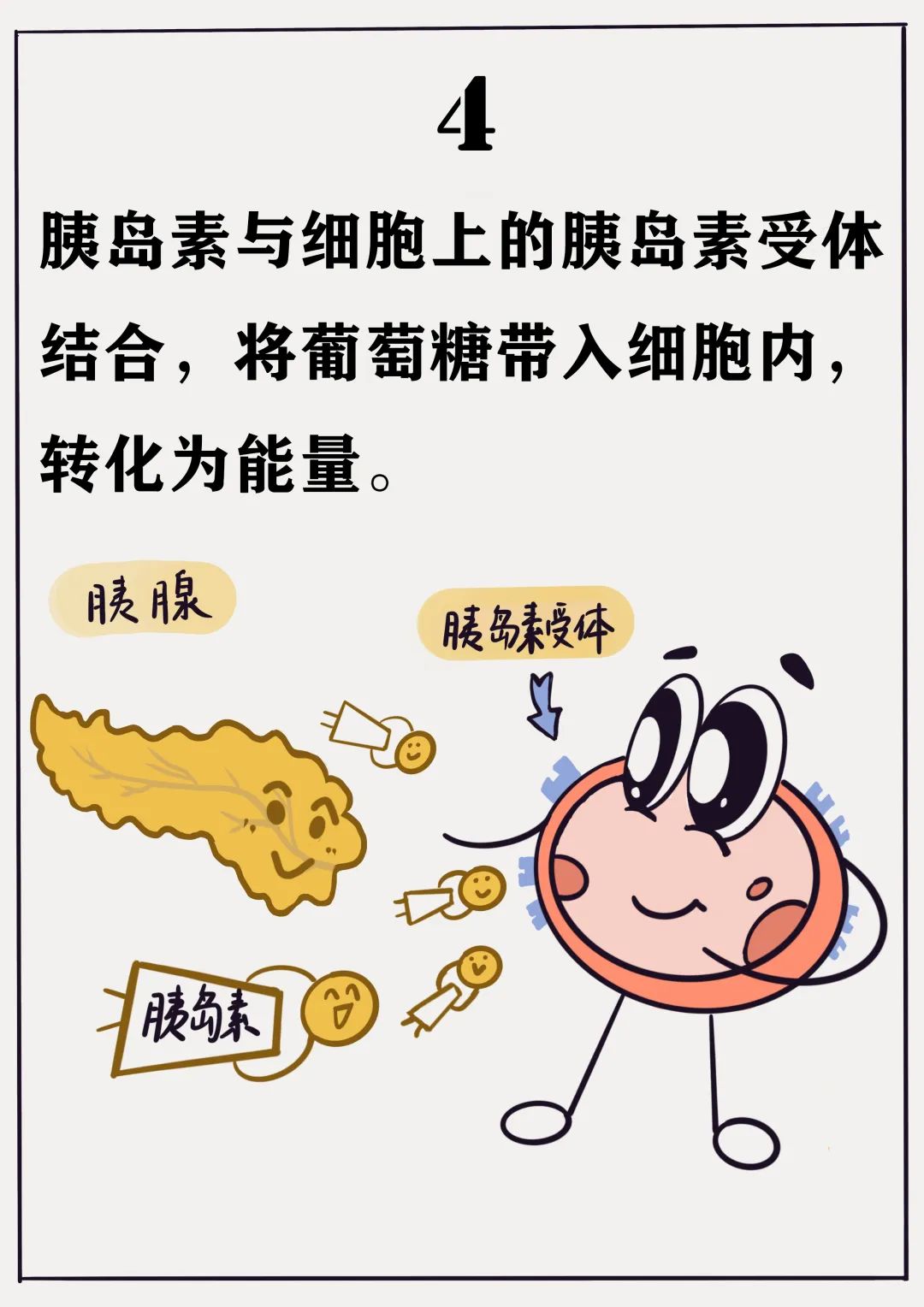 画一个胰岛素抵抗