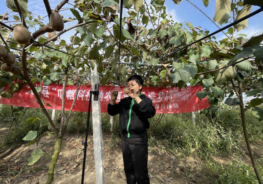 致富种植什么比较赚大钱_致富种植业_致富经种植