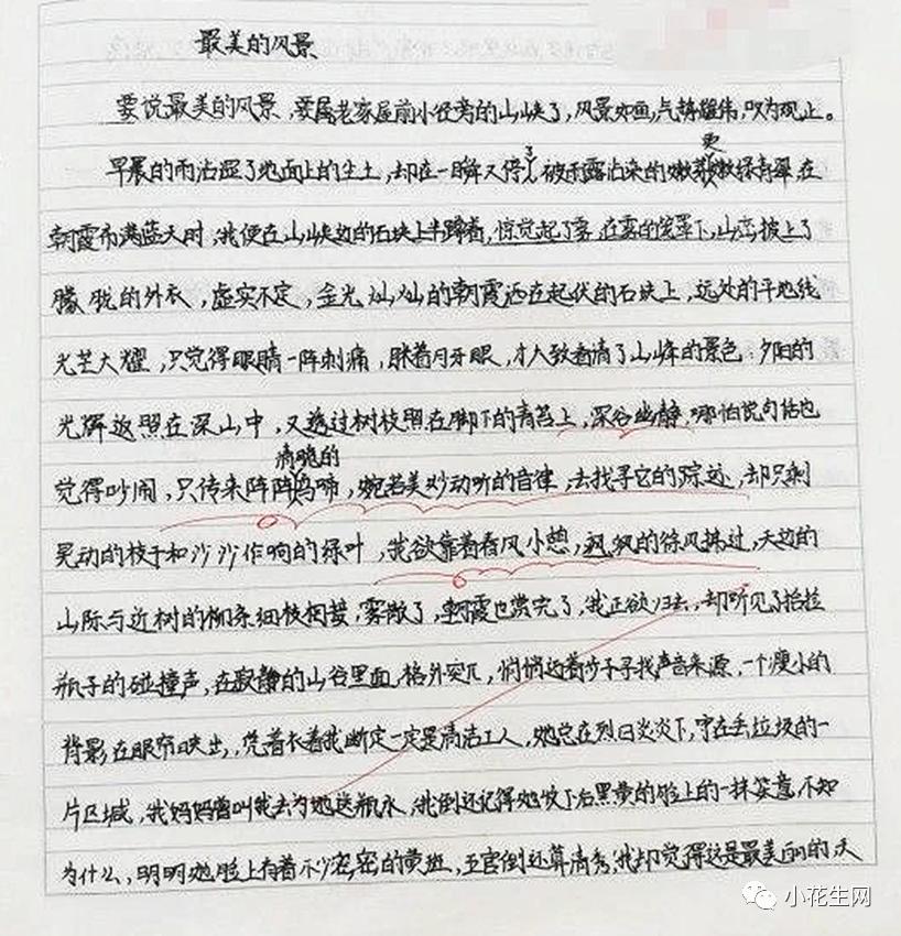 初中不当“作文困难户”，聊聊小学各阶段该如何打好基础_澎湃号·湃客_澎湃新闻-The Paper