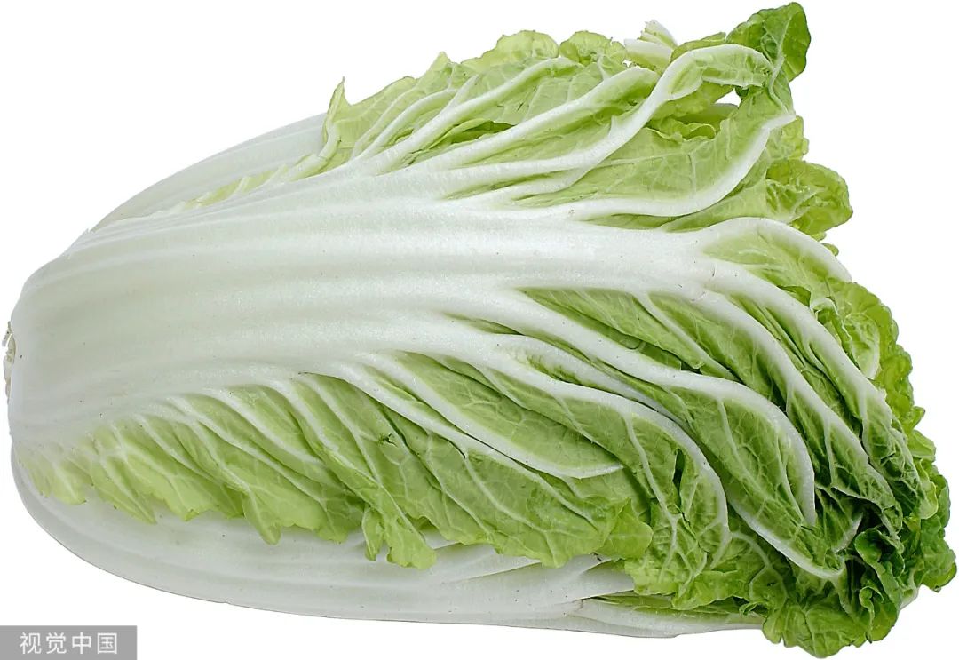 谁能告诉我，白菜到！底！是！什！么！