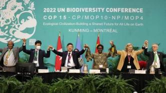 《生物多样性公约》第十五届缔约方大会第二阶段会议圆满闭幕！