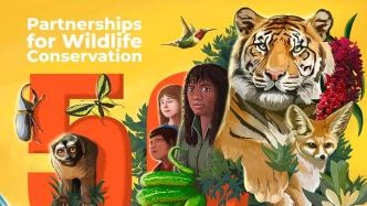 2023年世界野生动植物日的主题是野生动植物保护伙伴关系|全球生物多样性治理（第87期）