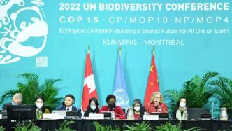 COP15：到底谁来为自然环境负责？