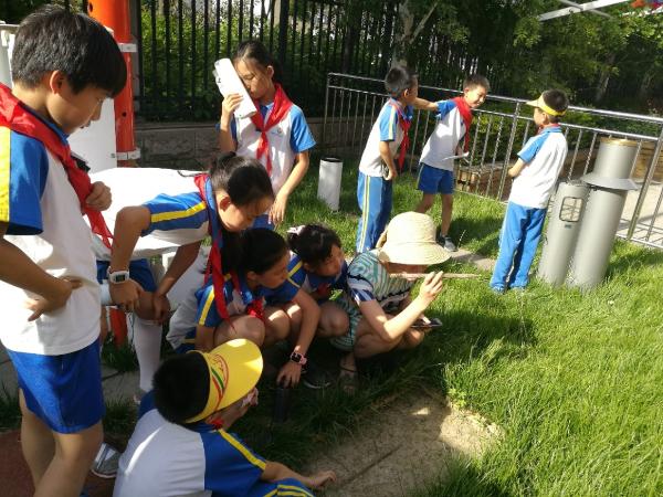 科协系统优秀工作案例丨组建科普资源平台助力校园科普