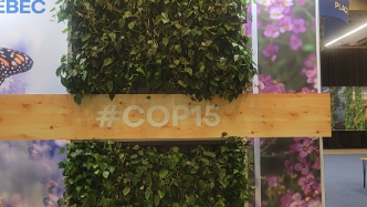绿会CBD COP15代表团就联合国生物多样性大会联合举办总结会