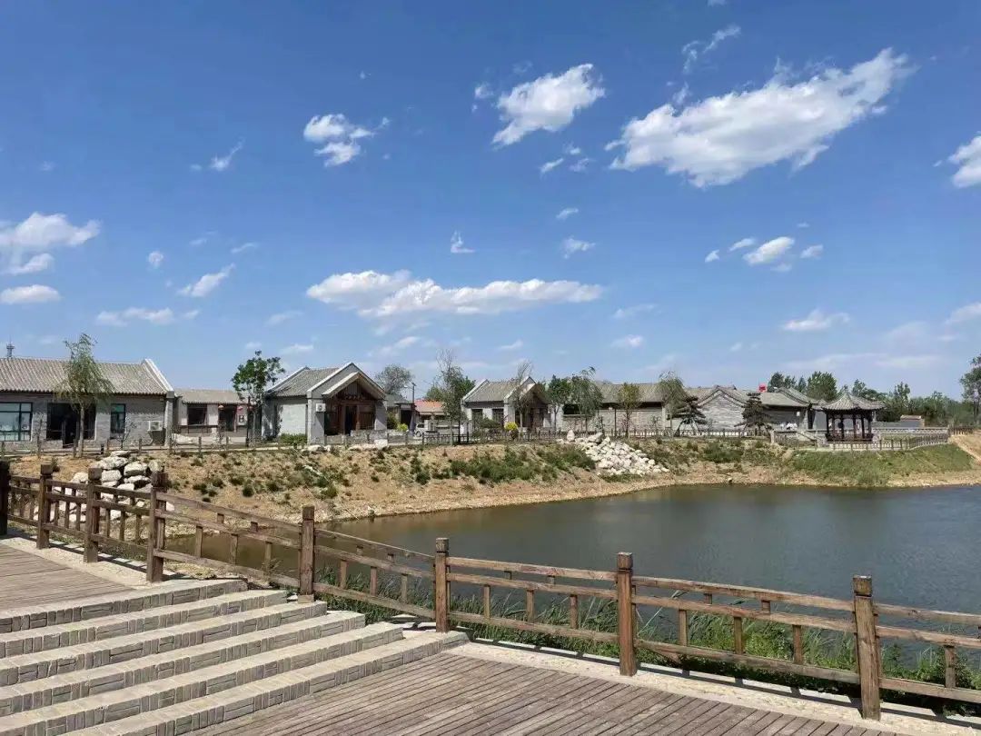 南皮县刘八里乡双庙村被评为"河北省森林乡村"_澎湃号·政务_澎湃新闻