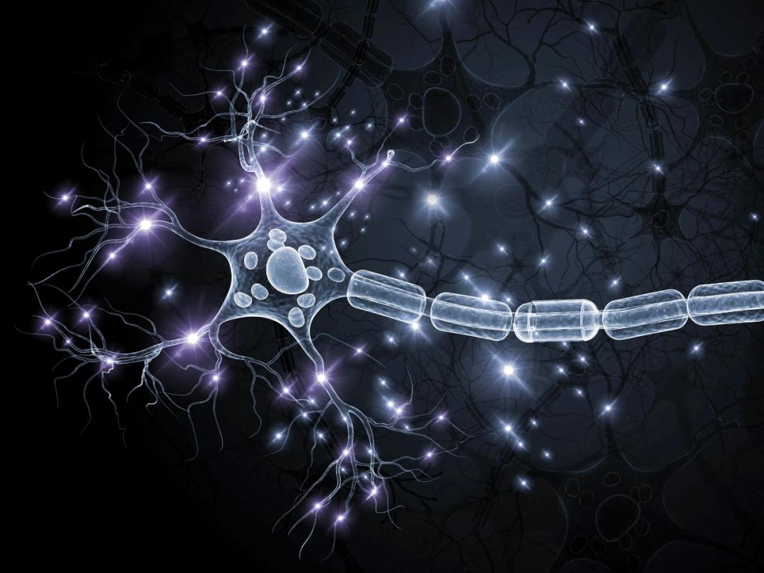 摩尔定律失效怎么办？神经形态计算专家：把重点变成树突学习