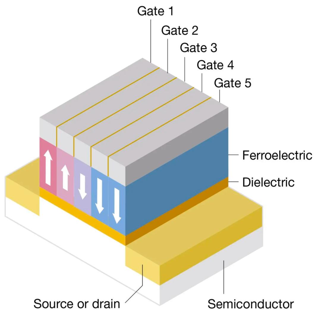 摩尔定律失效怎么办？神经形态计算专家：把重点变成树突学习
