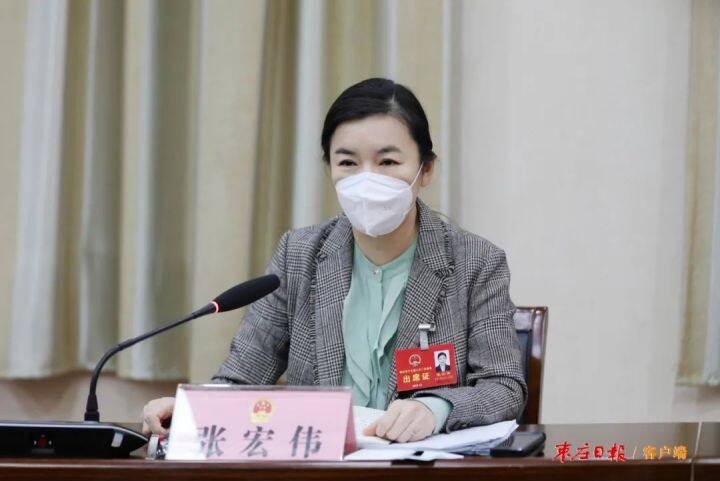 枣庄市长张宏伟:峄城要狠抓药片,芯片,纸片,石榴果等特色产业培育