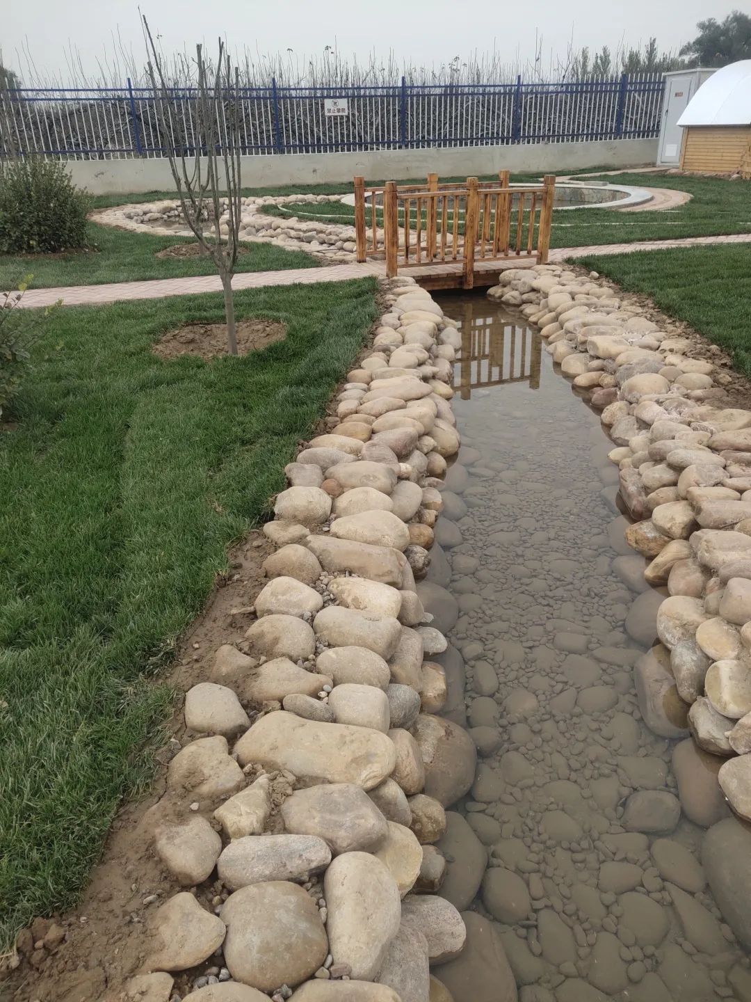 《人民日报》报道雄安新区雄县马蹄湾村:"梨"花香里说丰年_澎湃号