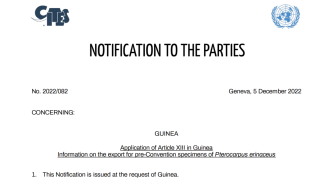 CITES秘书处发布通知：几内亚关于出口列入CITES前刺猬紫檀标本的信息