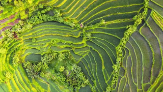 土地退化是世界上最紧迫的环境问题之一 | 中欧寻求减少土地损失的方法