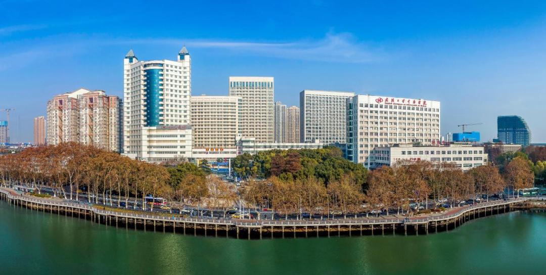 直击武大附属医院救治现场,接诊能力拉满!