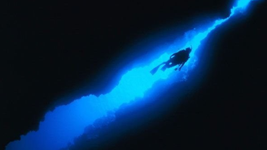 最新研究：深海海沟底部不成比例地堆积着大量的碳