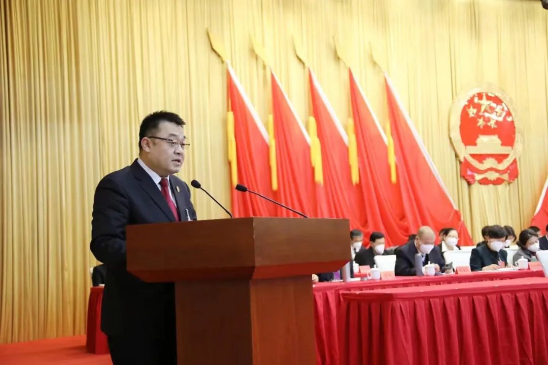 武清法院院长李雪春在天津市武清区第六届人民代表大会第三次会议上作