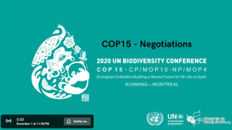 生态连通性是2020后全球生物多样性框架及“30×30”目标成功的关键|CMS公约执秘点评COP15