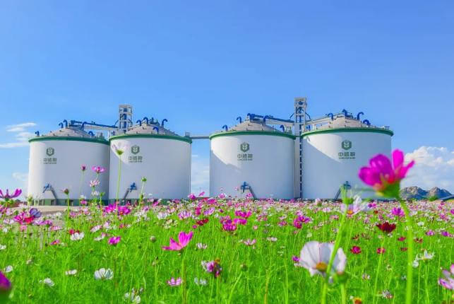 企业观察报 | 中储粮:公益类企业市场化改革样本