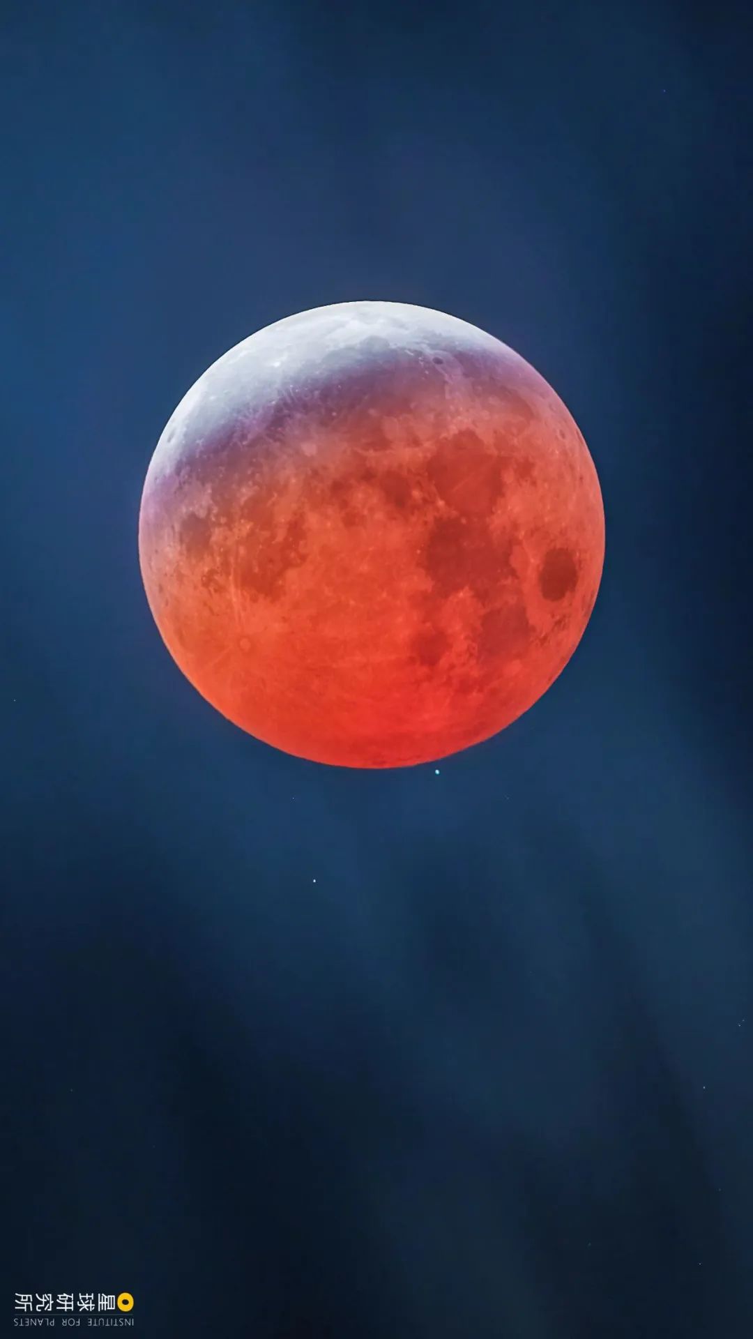 特辑：总有一束光，可以照亮世界