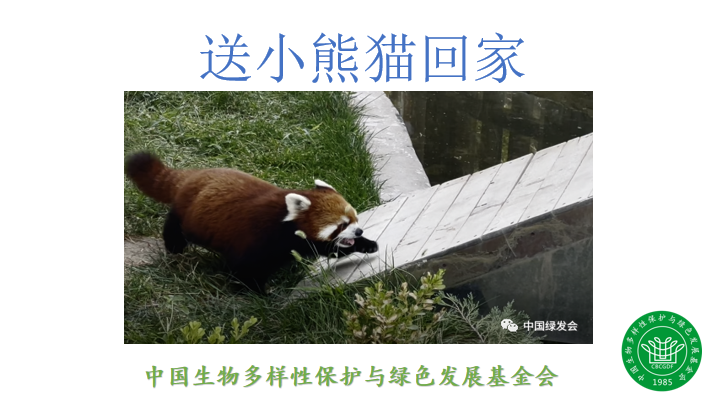 预告：送小熊猫回家--呦呦鹿鸣绿会专家访谈（第七期）| 期待您的参与