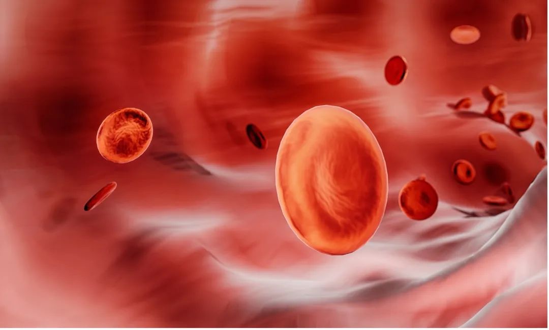 上海医用氧气怎么买买不到血氧仪该怎么办？这3个备选方案一定要知道_https://www.jmylbn.com_新闻资讯_第2张