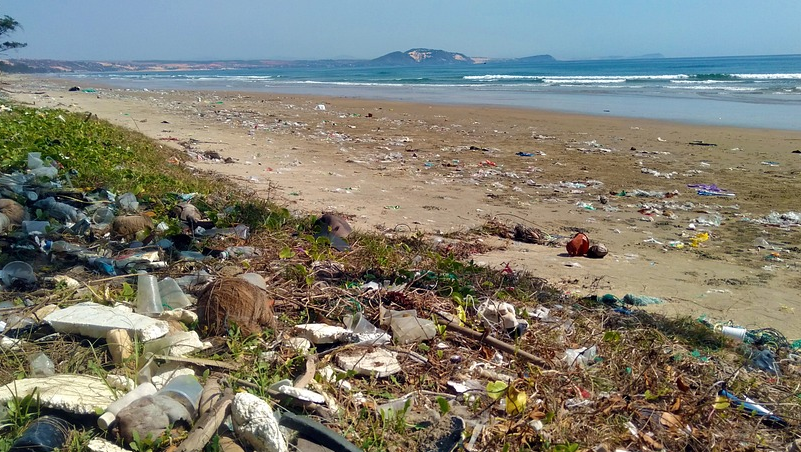 绿会法工委建议《海洋环境保护法(修订草案)》中应完善环境公益诉讼条款