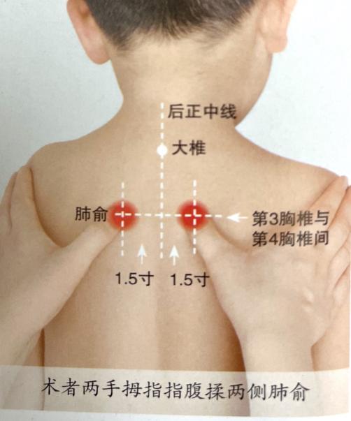 婴儿肩胛骨位置图片图片