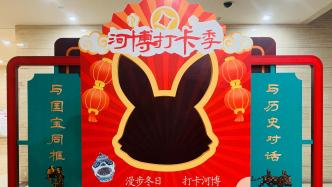 5大板块19项活动闹新春！河北博物院兔年春节上新了